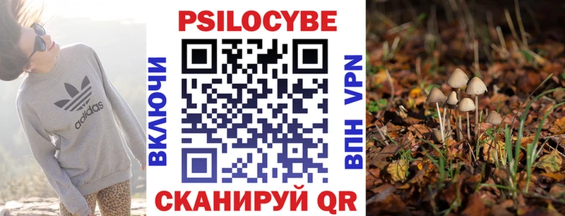 где купить   мега ссылки  Псилоцибиновые грибы GOLDEN TEACHER  Томилино 